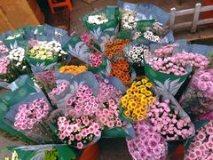 -循礼门鲜花花市(武汉循礼门店)