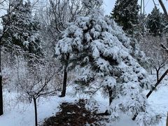 -北京西山国家森林公园