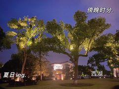 -杭州西湖柳莺里酒店·闻莺厅