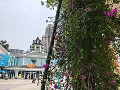 -海合安成都极地海洋公园