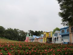 -松山湖梦幻百花洲