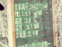 -汤旺河林海奇石景区