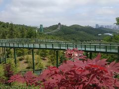 -威海华夏城景区