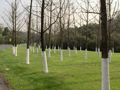 iphone_upload_pic-天目湖涵田度假村