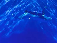 -芜湖新华联大白鲸海洋公园