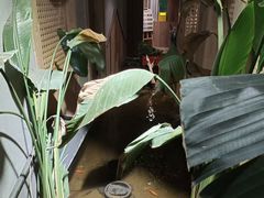 -邈墨茶馆(凤起路店)