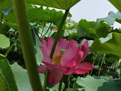 -南戴河国际娱乐中心