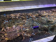 -开海·红岛海鲜虾水饺(石老人店)