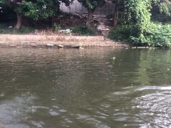 -长泰漂流水陆空景区