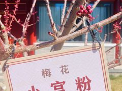 -北京市劳动人民文化宫(太庙)
