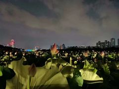 -南宁南湖公园