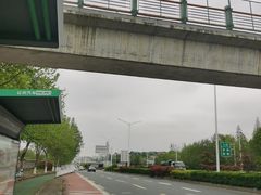 -狮麟驾校