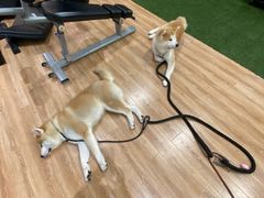 -YCHL Studios健身工作室(市二宫店)