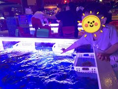 -石狮世茂摩天城摩天轮