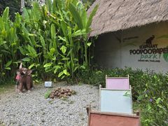 -大象粑粑造纸公园