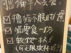 -More Fun猫咖 二十只万元加菲主题