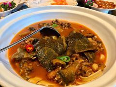 荆沙柴火煨甲鱼-金贵源食神(楚河汉街店)
