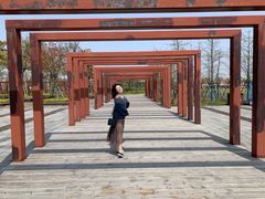 -春花秋色城市公园