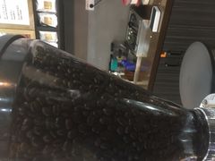 -猫屎咖啡(盐靖高速店)