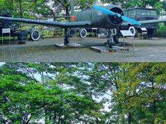 -东莞市大岭山森林公园