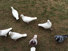 iphone_upload_pic-西安曲江寒窑遗址公园