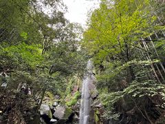 -莫干山风景区