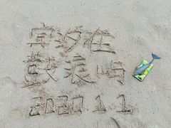 -贝壳梦幻世界