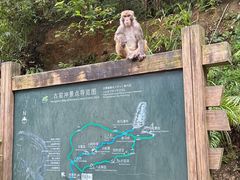 -姑婆山旅游区