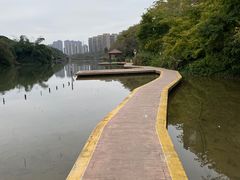 -金山公园