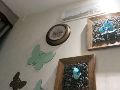 -健身堂科技美肌SPA