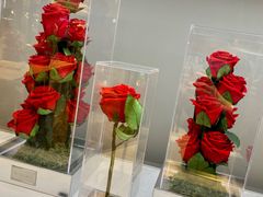 -ROSEONLY诺誓(青岛万象城店)