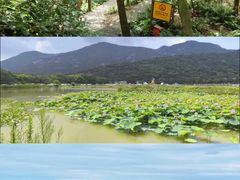 -东极岛景区