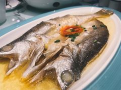 花雕醉黄鱼-寻宝记绍兴菜(鲁迅路店)