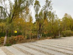 -成吉思汗公园