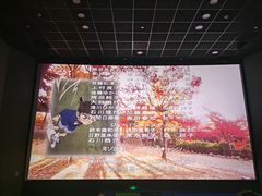 -SFC上影影城(港汇永华IMAX激光店)