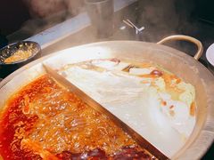 -九鼎轩脆毛肚火锅(南京东路店)