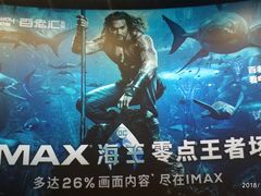 -金逸影城(武汉人信汇IMAX店)