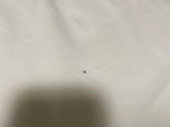 -速8酒店(西安电视塔自然博物馆店)