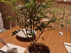 -CURRY YA 熟成咖哩專門店(深圳湾万象城店)