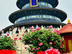 -天坛公园