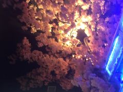 -特色酱椒鱼私房菜(黄鹤楼店)