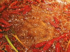 -小龙坎火锅(春熙太古里店)