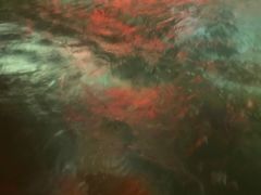 -浅深(世茂滨江精品店)