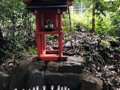 -野宫神社