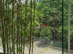-怡咖啡海鲜自助餐厅(浦东香格里拉店)