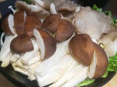 -潮正和潮汕牛肉火锅·老字号(番禺万达店)
