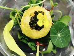 -彩丰楼·中餐厅(国家会展中心上海洲际店)