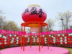 -盈香心动乐园