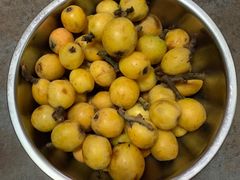 -塘栖枇杷特色园区