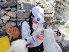 -喵屿·大理花园猫咖